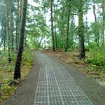 Bilder vom Radwegbau